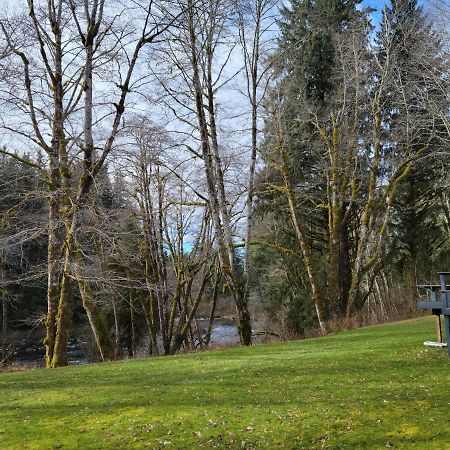 A Relaxing Getaway-A Backwoods Cabin Solduc River Beaver Extérieur photo