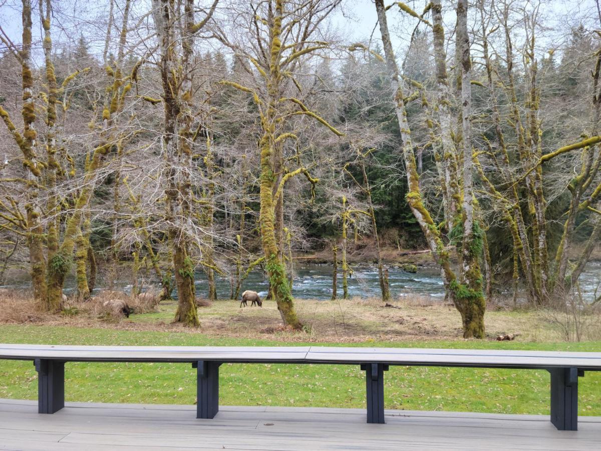 A Relaxing Getaway-A Backwoods Cabin Solduc River Beaver Extérieur photo