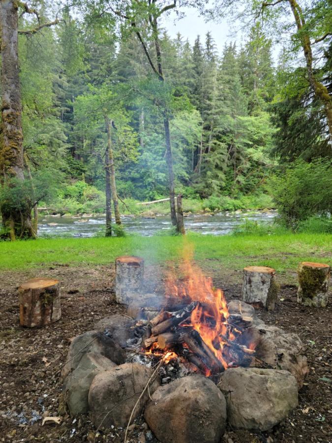 A Relaxing Getaway-A Backwoods Cabin Solduc River Beaver Extérieur photo