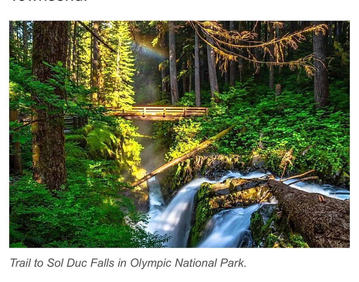A Relaxing Getaway-A Backwoods Cabin Solduc River Beaver Extérieur photo